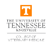 University of Tennessee Logo